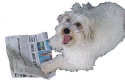 spikewithpaper2.jpg (23378 bytes)